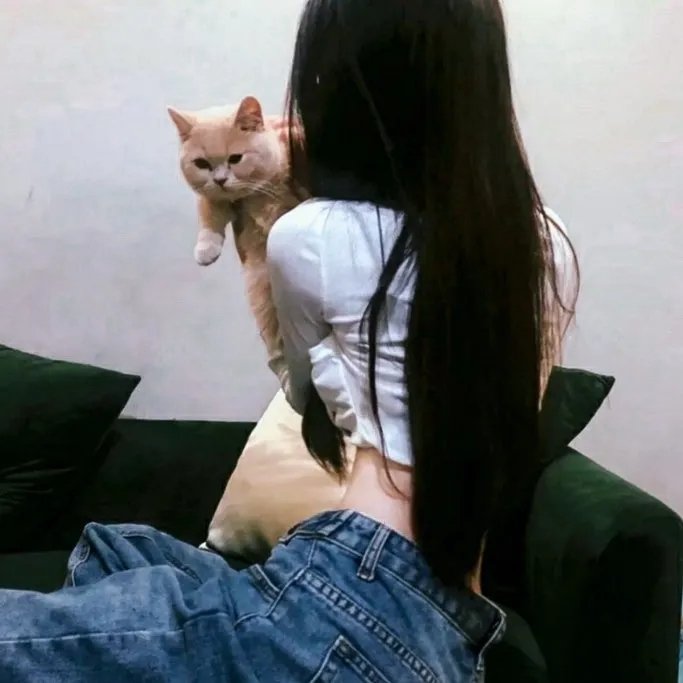 爱与荣耀